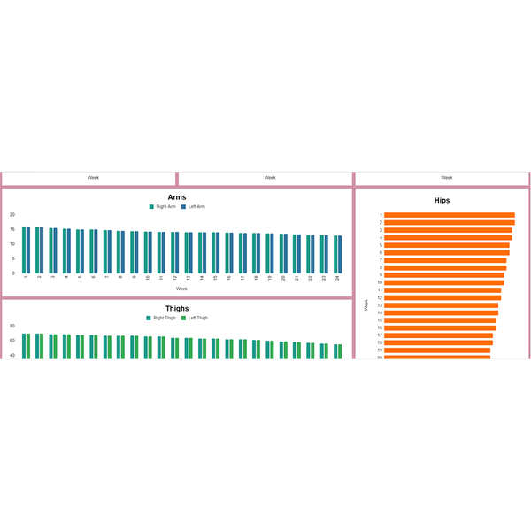 Fitness Tracker - Adanna (Google Sheets)