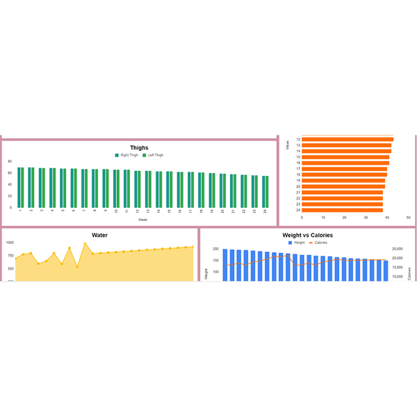 Fitness Tracker - Adanna (Google Sheets)
