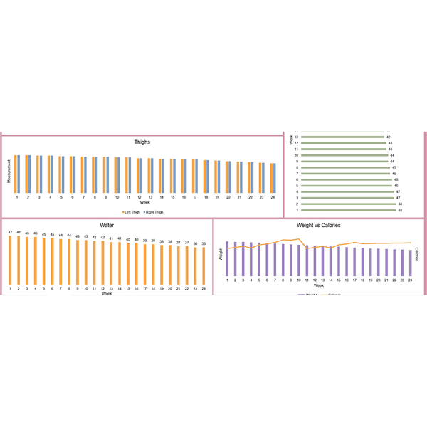 Fitness Tracker - Megan (Excel)
