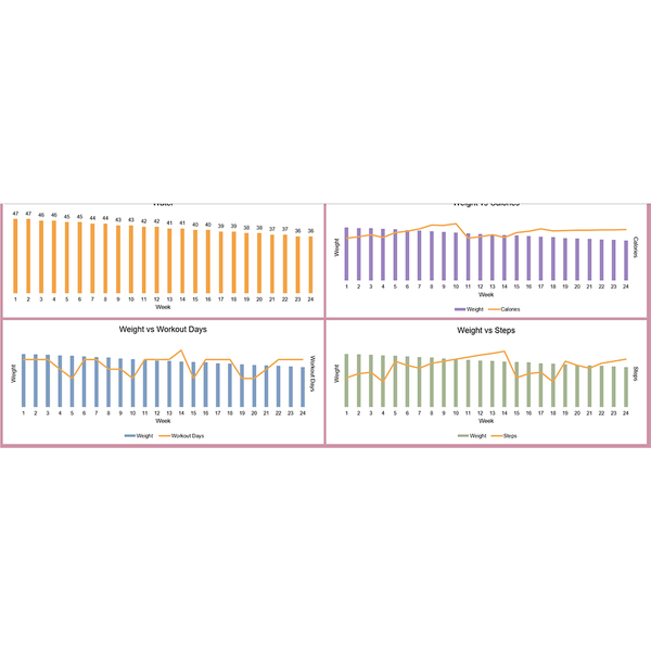 Fitness Tracker - Emiko (Excel)